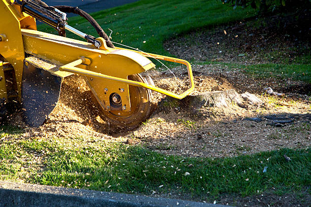 Lawn Irrigation Installation and Maintenance in Terryville, CT